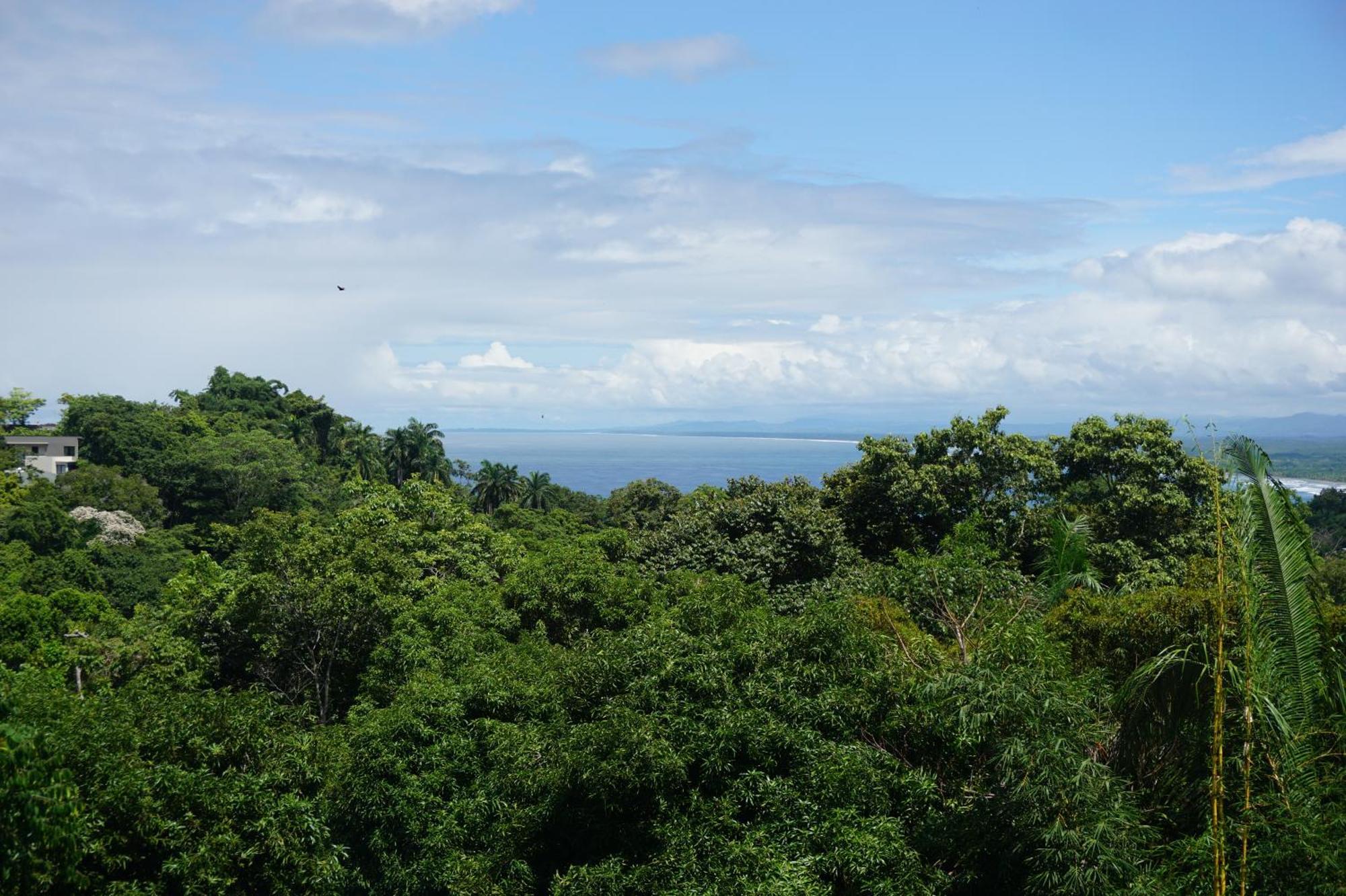 Hotel Planeta Sano Nationalpark Nationalpark Manuel Antonio Exterior foto